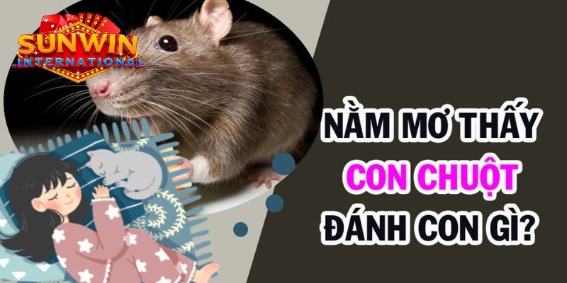 Đánh số gì trúng đề khi mơ thấy chuột