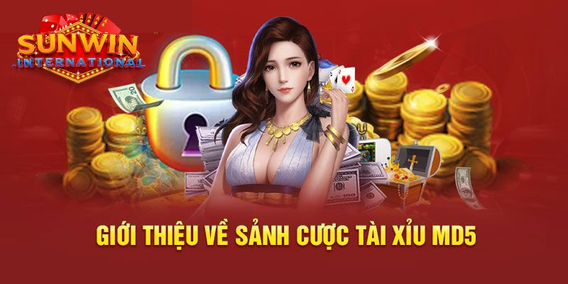 Giới thiệu sơ lược về trò chơi tài xỉu MD5 tại Sunwin